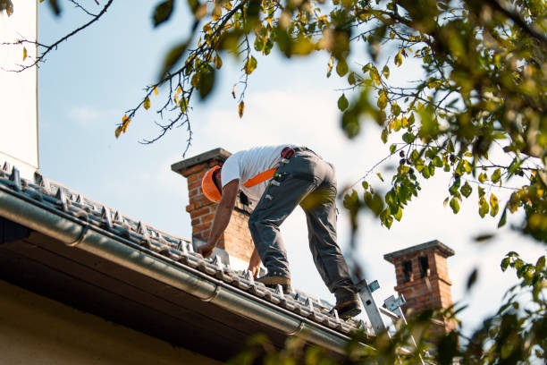 Best Commercial Roofing Services  in Chinook, MT